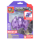 Dissect It - Mini Bat Lab