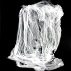 Spider Web with Spider, 20 g