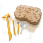 Fossil Excavation Kit