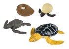 Life Cycle Figurines - Egg to Sea Turtle