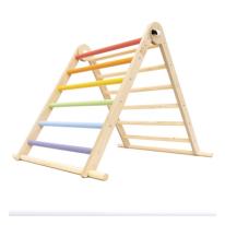 Indoor Climbing Frames