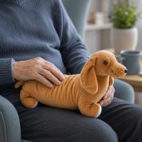 Calm, Comfort & Care