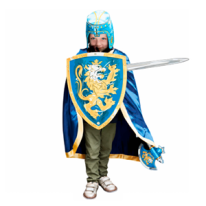 Swords & Shields
