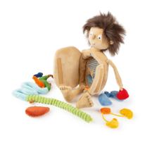 Anatomy & The Body