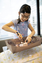 STEAM Activity Set - Dinosaur World 