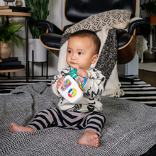 Baby Einstein - Maritime Melodies Musical Toy