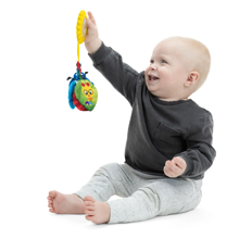 Baby Einstein - Touch of Nature Mobile Toy
