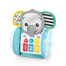 Baby Einstein - Chase & Tap Earl Interactive Toy