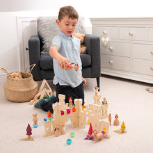 Castle Discovery Dividers