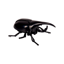 Wind-up Beetle (asstd.), 1 pc