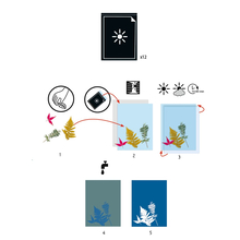 Cyanotype Kit - 12 Sheets 