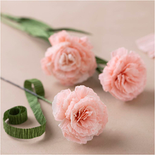 Crepe Paper Mini Kit - Pink Carnations