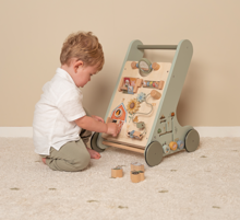 Activity Push Walker