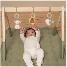 Little Farm Wooden Baby Gym