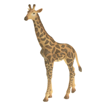 Savanna Animals, 13 pcs 