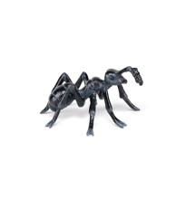 Ant, L: 5.1 cm