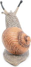 Roman Snail, L: 6 cm
