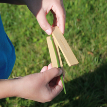 Make Your Own Grass Whistle 