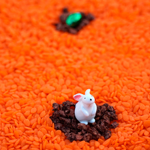 Discovery Bottle - Rabbit
