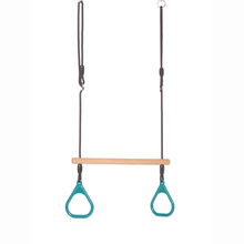 Trapeze Swing with Rings - Turquoise (Black Rope)