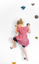 Climbing Holds (incl. Screws), 10 pcs