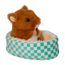 Ted the Pet Hamster