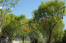 2-in-1 Ninja Slackline Kit 