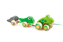 Pull-Along Toy - Frog Family