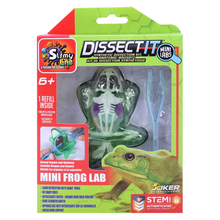 Dissect It - Mini Frog Lab