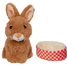 Rosi the Rabbit 