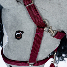 byASTRUP Accs. - Halter & Lead Rope, Red