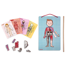 Magnetic Play Set - The Human Body 