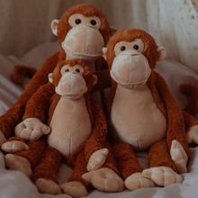 Weighted Stuffed Animal - Monkey, 1.1 kg (Medium)