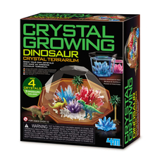 Crystal Growing Kit - Dinosaur Crystal Terrarium
