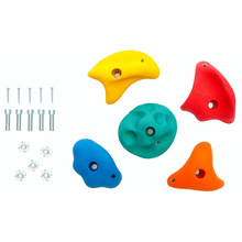 Climbing Holds Large w Screws - Multicolour, 5 pcs