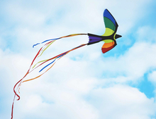Kite - Bird 130x75 cm