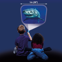 Torch Projector with Slides - Sharks 