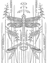 Colouring Book - Insects