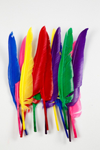 Goose Feathers - Assorted Colours, 12 pcs