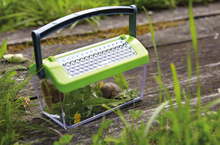 Plastic Bug Box with Handle