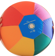 Balloon Ball Cover incl. Balloons, Medium