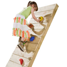 Multicolour Climbing Holds - Large