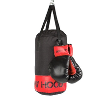 Punching Bag with Gloves, 4 kg