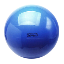 Exercise/Balance Ball Ø65 cm, Blue