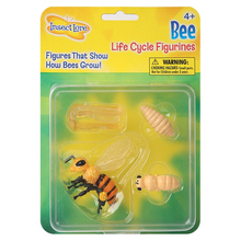 Life Cycle Figurines: Honeybee
