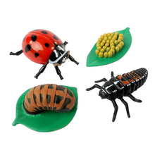 Life Cycle Figurines: Ladybird