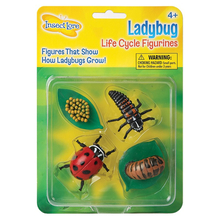Life Cycle Figurines: Ladybird