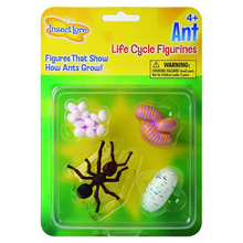 Life Cycle Figurines: Ant