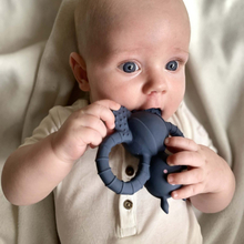 Teether Toy 100% Natural Rubber - Felix the Fly