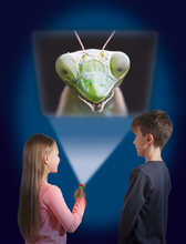 Torch Projector with Slides - Creepy Crawlies 
